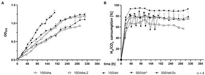 Scale-up of biomass production by Methanococcus maripaludis
